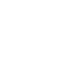 Mentoring & capability-building